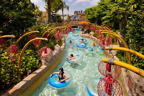 Adventure Cove Waterpark - Dreamlabs Studio