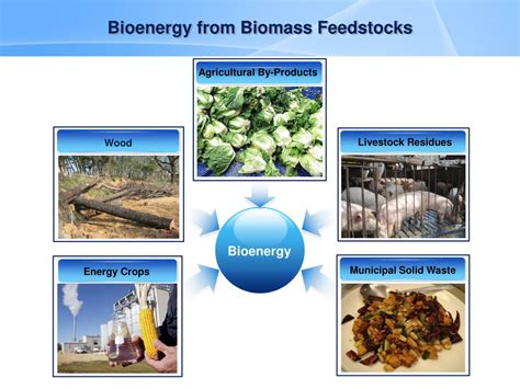 PPT - Bioenergy Production of Agricultural By-Products PowerPoint Presentation - ID:3340446