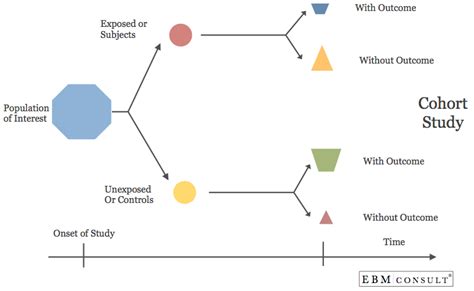 Cohort Study: Biostatistics Overview