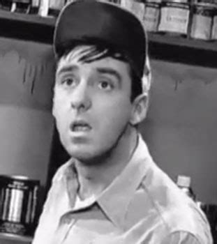 Gomer Pyle Quotes. QuotesGram