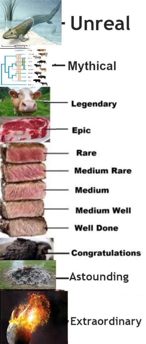 Steak Levels - Full Chart | Degrees Of Steak Doneness / Steak Temperature Charts | Know Your Meme