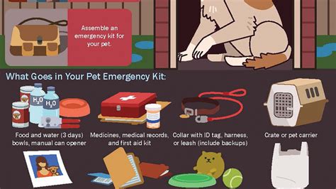 Prepare now: Pet-friendly hurricane shelters in Northwest Florida