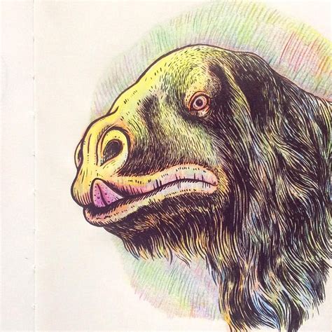 Megatherium americanum which I have just finished in my sketchbook ☺️ ...