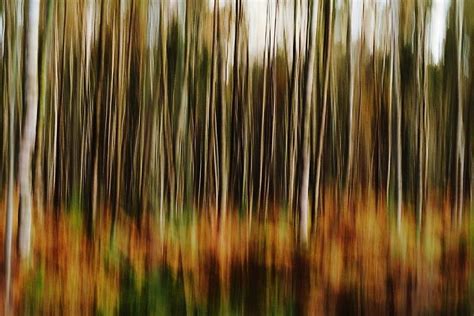 'Autumn Forest Abstract' Framed Print by Margaret Chilinski | Autumn forest, Abstract, Abstract ...