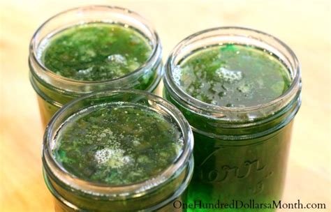 Mint Jelly Recipe - One Hundred Dollars a Month