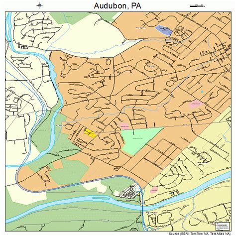 Audubon Pennsylvania Street Map 4203544