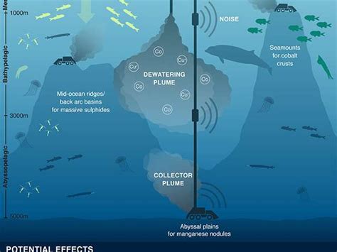 Scientists urge caution, further assessment of ecological impacts above deep-sea mining