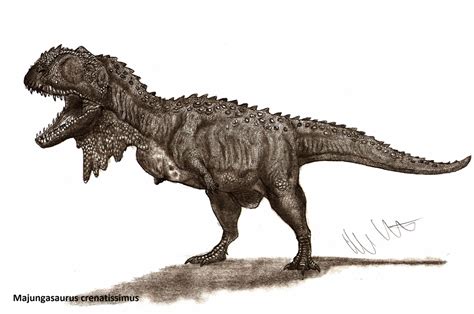 Majungasaurus Crenatissimus by Teratophoneus on DeviantArt