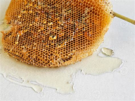 honeycomb with honey. 10127952 Stock Photo at Vecteezy