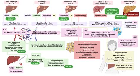 Cureus | Hepatocellular Carcinoma in 2021: An Exhaustive Update