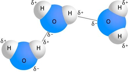 Examples of Hydrogen Bonding - Chemistry Examples