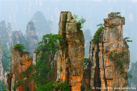 Stone Pillars in Zhangjiajie, Tianzi Mountain Nature Reserve, Zhangjiajie National Park, Hunan ...