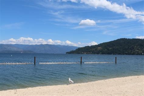 Sandpoint City Beach: UPDATED 2020 All You Need to Know Before You Go (with PHOTOS)