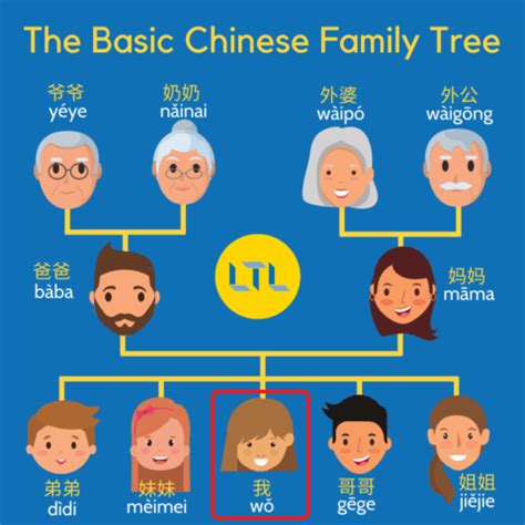 Chinese Family Tree - LTL School