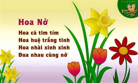 Thơ Về Hoa Nở: Chùm 37+ Bài Thơ Ngắm Hoa Hay Nhất