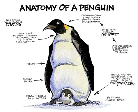 Anatomy of a Penguin : r/comics