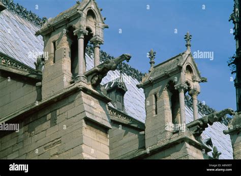 Paris France Notre-Dame Cathedral Gargoyles Rainspouts Stock Photo - Alamy