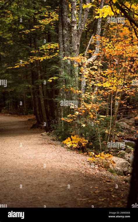 Fall Foliage details along Kancamagus Highway in New Hampshire Stock ...