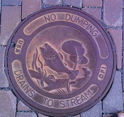 Manhole cover at University of Colorado | Cover art design, Cover art ...