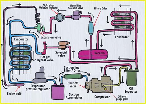 Refrigeration Circuit Diagram