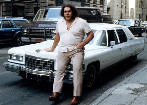 ‘André the Giant’ Trailer: The Larger-Than-Life Legend – IndieWire