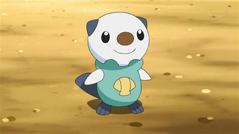 Oshawott Wallpapers - Wallpaper Cave