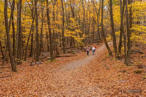 Fall Colors In The Devil's Lake Region - Devil's Lake State Park Area Visitor's Guide ...