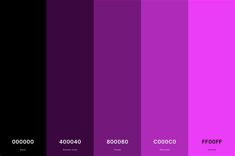 3. Dark Magenta Color Palette Color Palette with Black (Hex #000000) Russian Violet (Hex #400040 ...