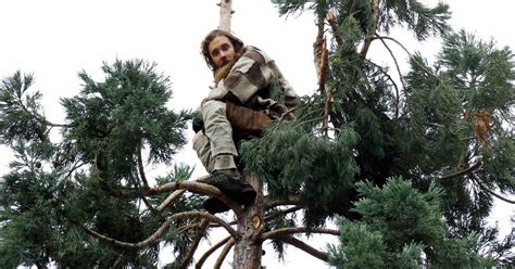 Seattle’s 'Man in Tree' Sent to a Psychiatric Hospital | Time