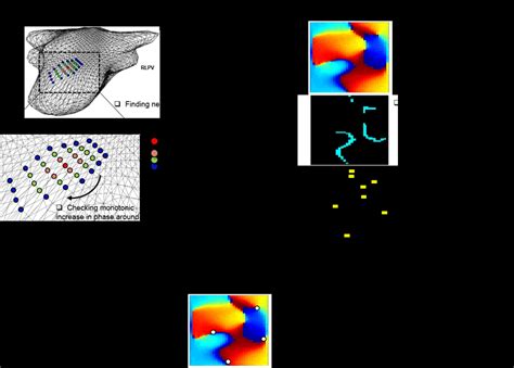 Schematic representation of two different methods (triangulation mesh ...