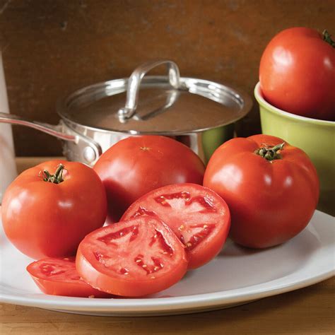 Big Beef Plus Tomato 4″ Pot – Urban Roots