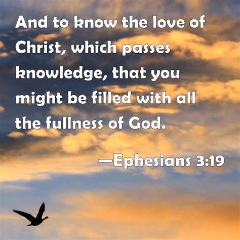 Ephesians 3:19 And to know the love of Christ, which passes knowledge ...