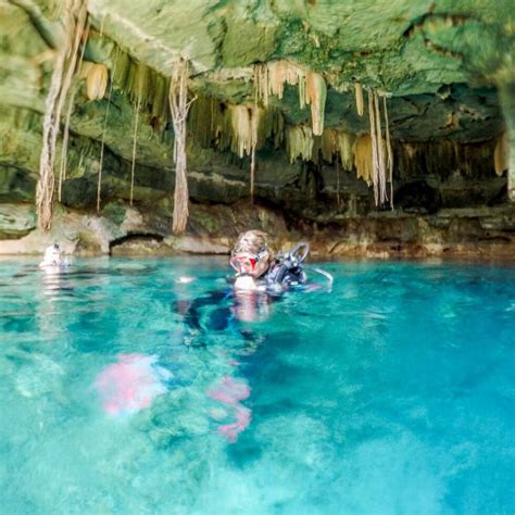 Scuba Diving a Cenote from Merida, Mexico