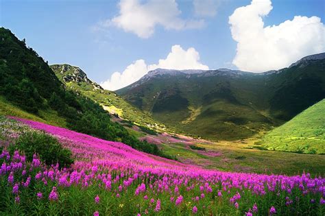 slovakia, high tatras, la, landscape, nature, mountain, hiking, beauty ...