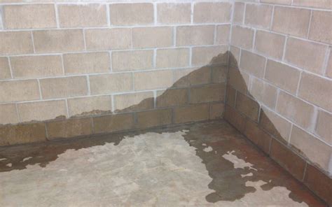 If you have water in your basement, you need to fix it. But which method is better- interior or ...