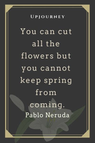 9 [BEST] Pablo Neruda Quotes (About Life, Love, Poetry...) | Neruda quotes, Quotes about ...