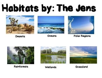 Animals and Plants Habitat Research Project | Animal habitats, Habitats ...