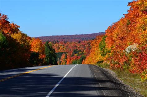 Fall Colors In Algonquin Park 2014