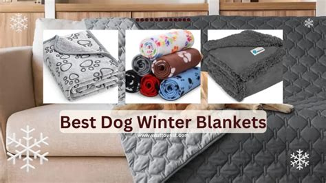 The Top 10 Best Dog Winter Blankets to Keep Your Furry Friend Warm This Season - 2024