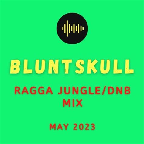 Stream RAGGA JUNGLE DNB MIX (MAY 2023) by Bluntskull | Listen online for free on SoundCloud