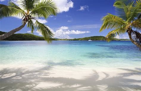 Jost Van Dyke, British Virgin Islands - Beach Bum Boat Rentals