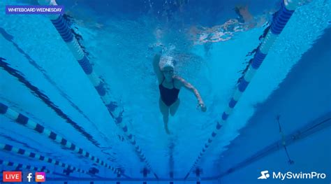 5 Freestyle Drills For Beginner Swimmers - MySwimPro