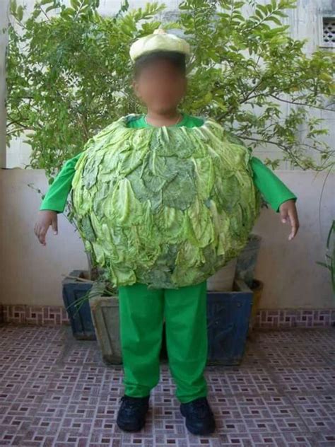 Cabbage Costume Ideas - carlynstudio.us