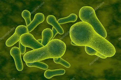 Bacteria Clostridium tetani or other clostridia Stock Photo by ©katerynakon 78115108