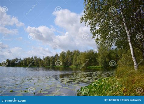 Beautiful Lithuania Nature .Swamp Musa Near Latvian Border Stock Photo ...