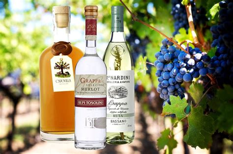 Best Italian Grappa Brands | Drinks Geek