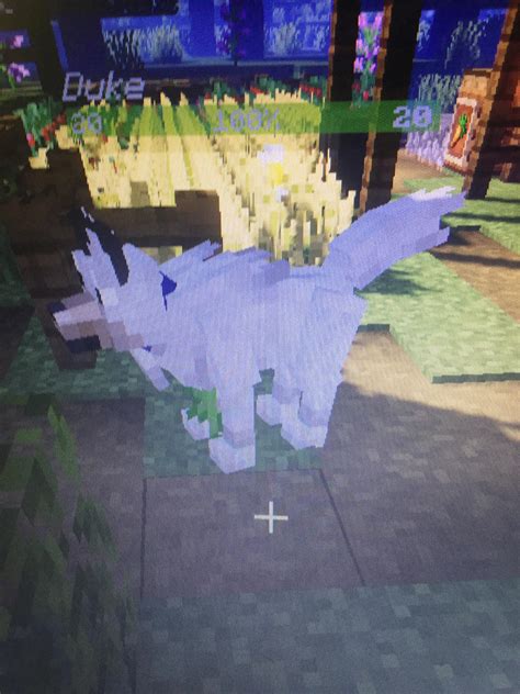 Awesome improved animals mod. : r/Minecraft