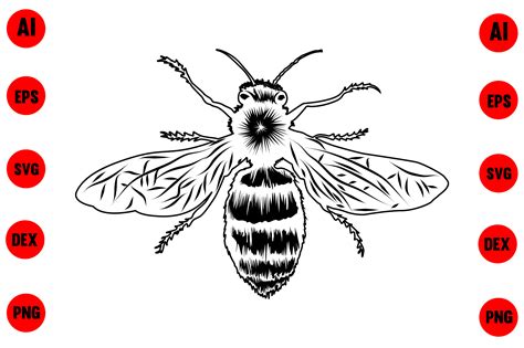 Honey Bee Vector Graphic by Click to Buy · Creative Fabrica