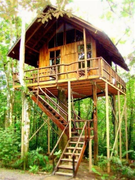 New Tree House Plans On Stilts - New Home Plans Design