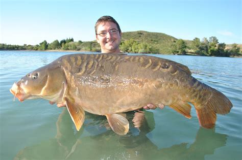 Mario with another fantastic Mirror Carp, and a big smile, that's what ...